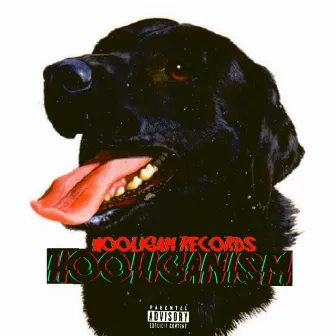 Hooliganism by Hooligan Records