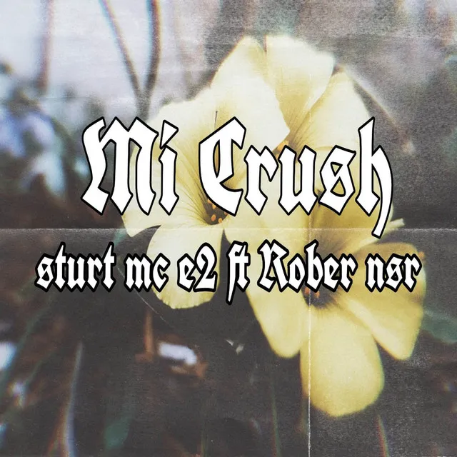 Mi Crush (Remix)