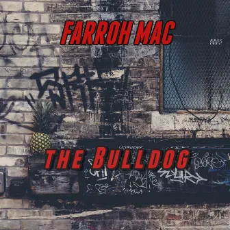 The Bulldog by Farroh Mac