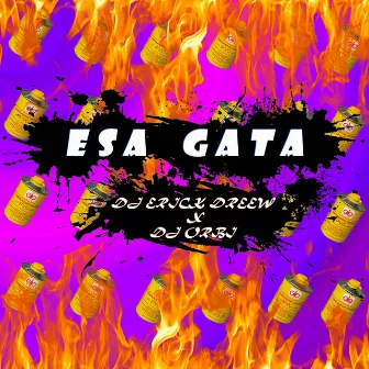 Esa Gata by DJ Orbi