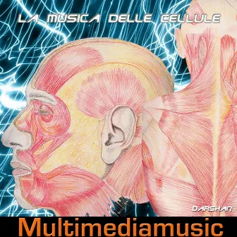 Music of Cells (La musica delle cellule) by Darshan