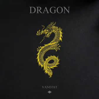 Dragon by VAND3ST