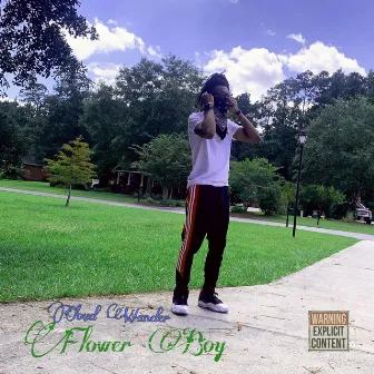 Flower Boy by Cloud Wander