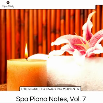 The Secret to Enjoying Moments - Spa Piano Notes, Vol. 7 by Chris Wilson