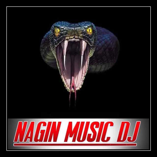 Nagin Music Dj