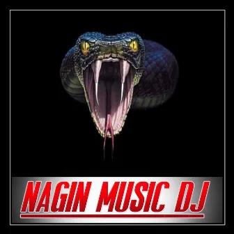 Nagin Music Dj by Dj Shekar Ichoda