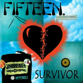 Survivor by Fifteen