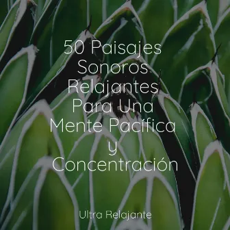 50 Paisajes Sonoros Relajantes Para Una Mente Pacífica y Concentración by Dormir e Meditar