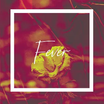 Fever by Ferreck Stnd