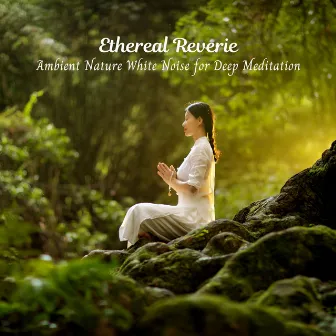 Ethereal Reverie: Ambient Nature White Noise for Deep Meditation by Natural Woodland Sounds