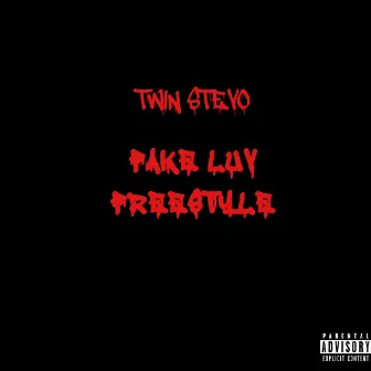 Fake Luv Freestyle by Twin Stevo