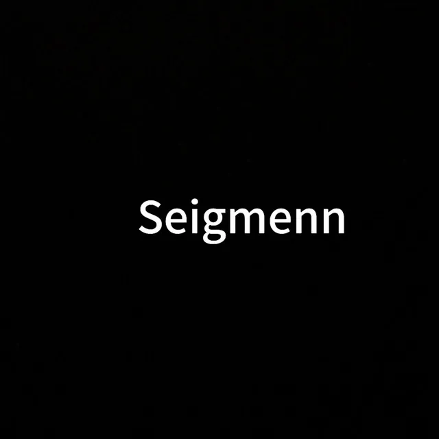 Seigmenn