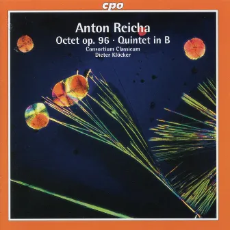 Reicha: Octet, Op. 96 and Variations for Bassoon & String Quartet by Anton Reicha