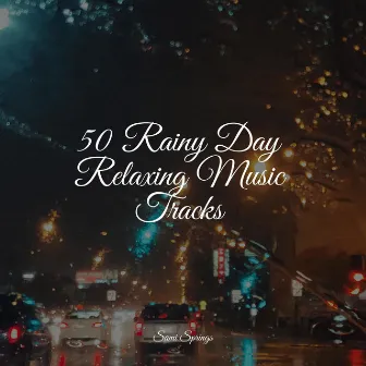 50 Rainy Day Relaxing Music Tracks by Sonidos De Truenos y Lluvia