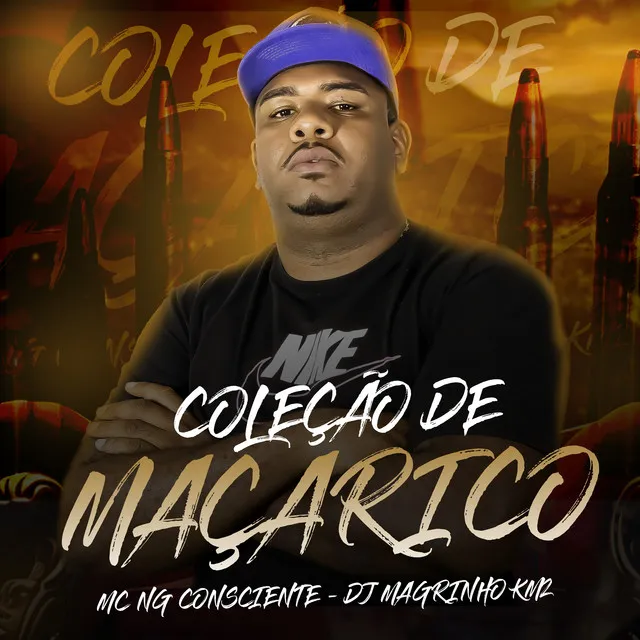 Coleção de Maçarico