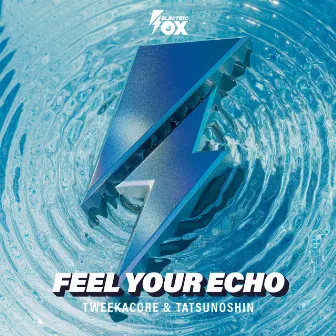 Feel Your Echo by Tatsunoshin