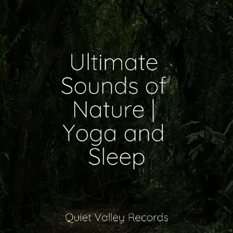 Ultimate Sounds of Nature | Yoga and Sleep by Nature & Sounds Backgrounds