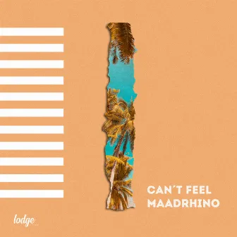 Can't Feel by Lodge Records