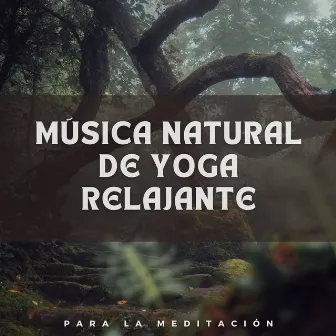 Música Natural de Yoga Relajante para la Meditación by El proyecto de música de canto y mantra de yoga