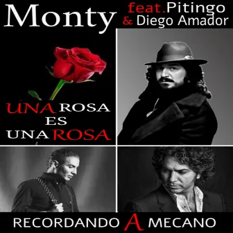 Una Rosa Es Una Rosa by Monty