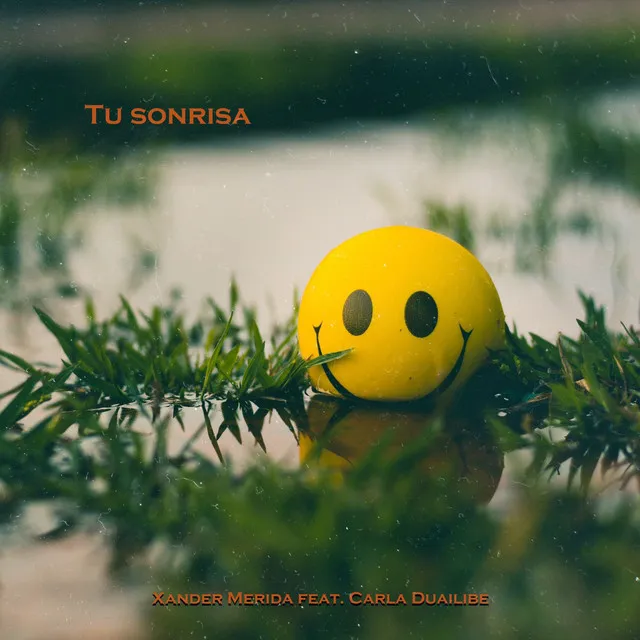 Tu Sonrisa