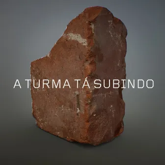 A Turma Tá Subindo by Siba