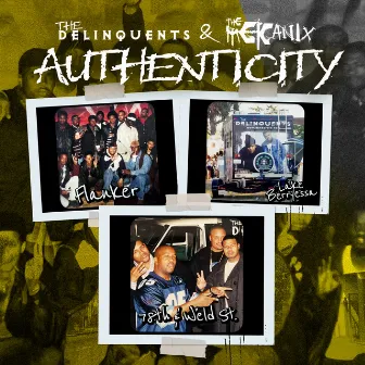 Authenticity by The Delinquents