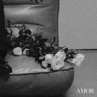 amor. by eleasar