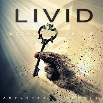 Lockdown / Shake by Livid