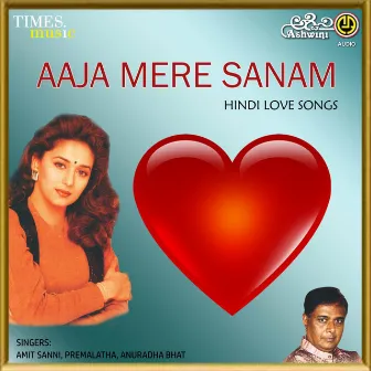 Aaja Mere Sanam by Premalatha