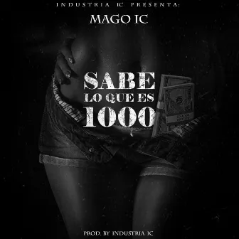 Sabe Lo Que Es Mil 1000 by Mago ALC