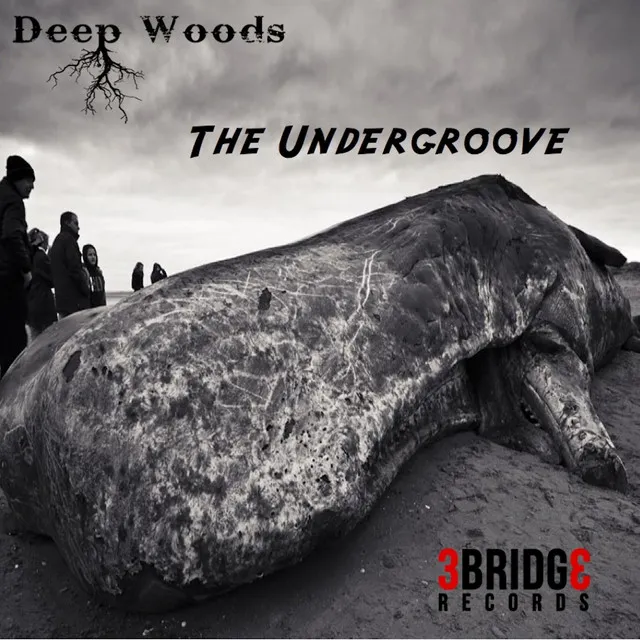 The Undergroove