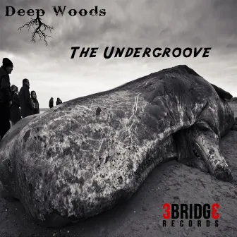 The Undergroove by Deep Woods