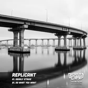 Deadly Strike / Do What You Want by Replicant