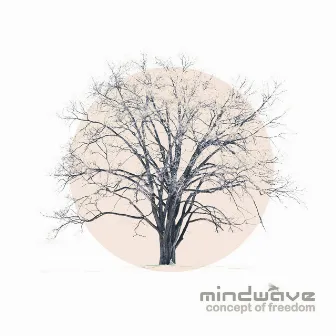 Concept of Freedom by Mindwave