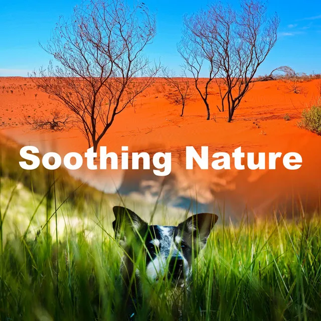 Soothing Nature