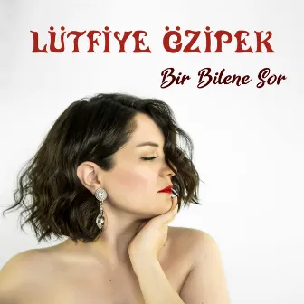 Bir Bilene Sor by Lütfiye Özipek