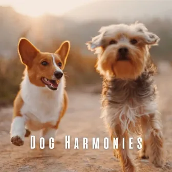 Dog Harmonies: Calming Music for Tranquil Puppies by The Sun Flower