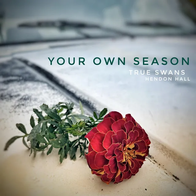 Your Own Season