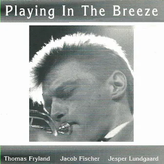 Playing in the Breeze (feat. Jacob Fischer & Jesper Lundgaard) by Thomas Fryland