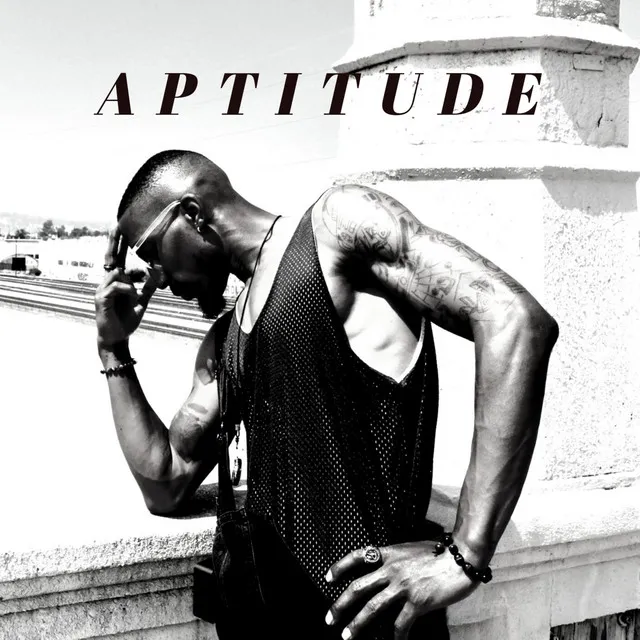 Aptitude