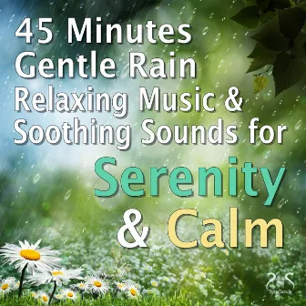 45 Minutes of Gentle Rain, Relaxing Music and Soothing Sounds for Serenity & Calm by Max Relaxation