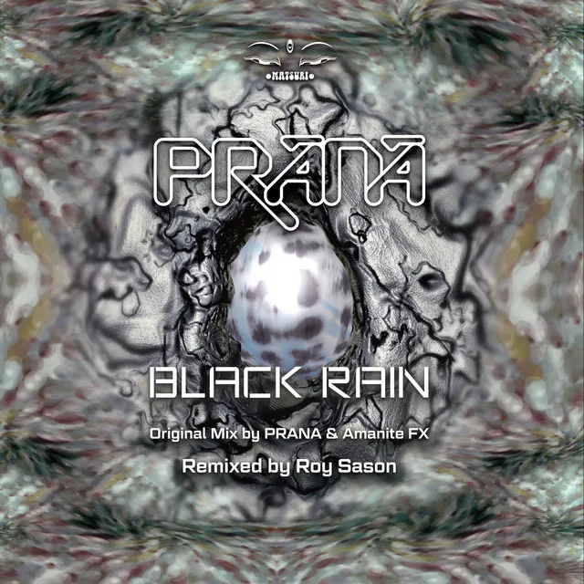 Black Rain - Remixed