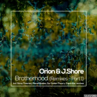 Brotherhood (Remixes, Pt. 1) by Orion