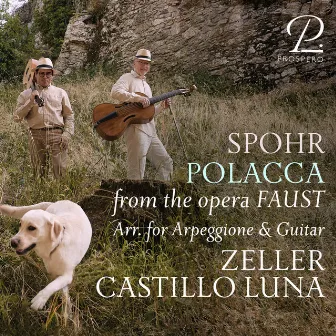 Spohr: Faust: Polacca (Arr. for Arpeggione and Guitar by Vincenz Schuster) by Martin Zeller