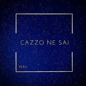 Cazzo Ne Sai by Reba