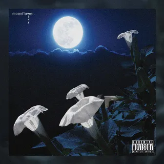 Moonflower by Wavy