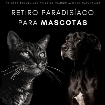 Retiro Paradisíaco Para Mascotas: Pájaros Tranquilos Y Música Tranquila De La Naturaleza by 