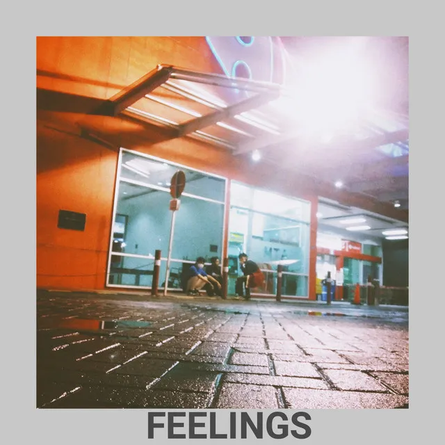 Feelings