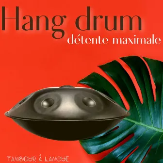 Hang drum détente maximale by Tambour à Langue